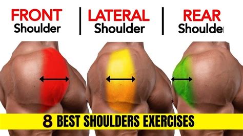 8 Worlds Best Shoulder Workout To Build Wider Shoulders Shoulder