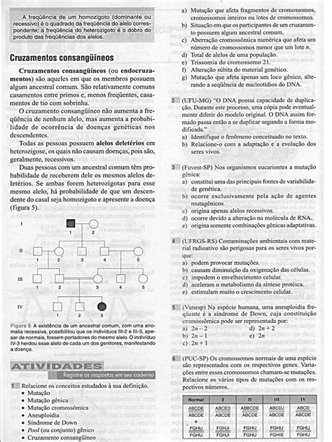 PDF Exercícios de Evolução DOKUMEN TIPS