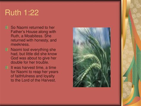 Ppt The Book Of Ruth Powerpoint Presentation Free Download Id 237233