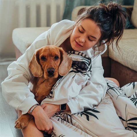Is Your Dog Throwing Up Yellow Bile? - PureLUXE Pet Food | Natural