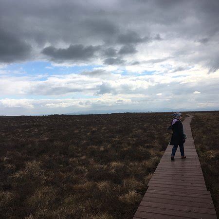 RSPB Campfield Marsh Nature Reserve (Bowness on Solway) - 2020 All You ...