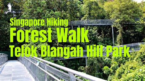 Forest Walk Inside The Terrain Of Telok Blangah Hill Park Southern