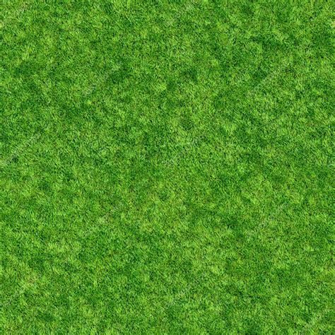 Grass Texture Seamless