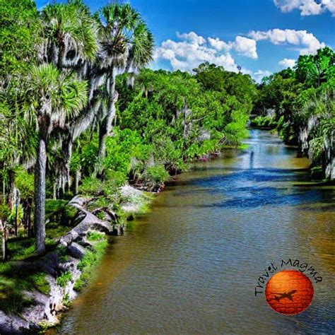 Wildlife Galore: Unraveling the Exquisite Fauna of Ichetucknee Springs ...