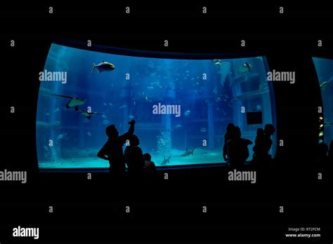 Osaka Aquarium, Japan Stock Photo - Alamy