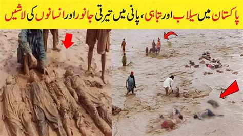 Pakistan Mein Selab Ki Tabah Kariyan Flood In Pakistan Flood In