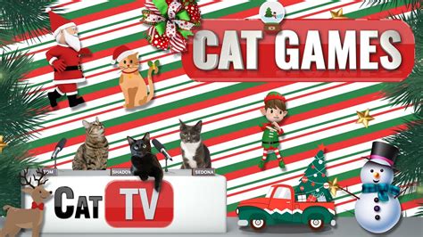 Cat Games Jingle Paws Wonderland Festive Feline Fun For Christmas