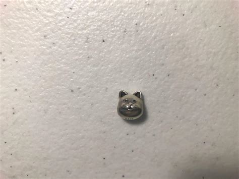 Authentic Pandora Curious Cat Charm Womens Fashion Jewelry