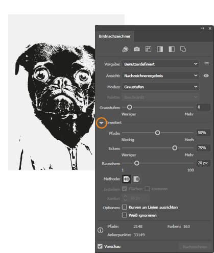 Bilder In Illustrator Vektorisieren Bildnachzeichner