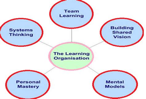 Organizational Theory And Design Learning Organization