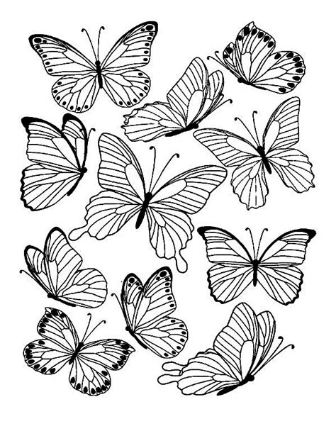 Coloriage Papillons Nouveau Photos Coloriage De Papillon A Imprimer