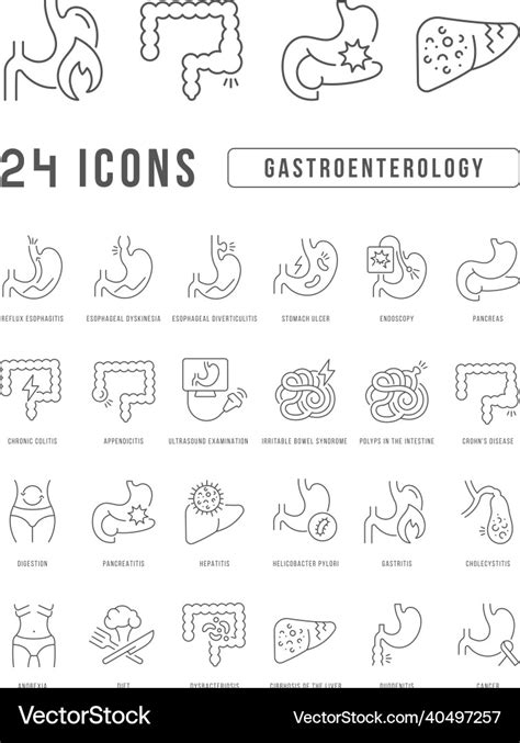 Set Of Linear Icons Of Gastroenterology Royalty Free Vector