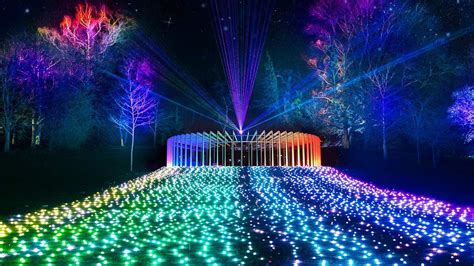 After-Dark Light Festival Lightscape Will Brighten Up the Royal Botanic ...