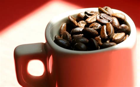 Fondos de pantalla comida beber vaso granos de café chocolate