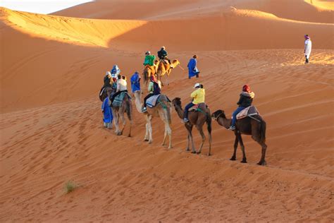 Fotos Gratis Paisaje Desierto Aventuras Viaje Habitat Africano