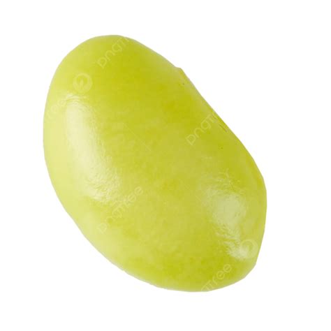 Edamame Clipart At Sandra Madrigal Blog