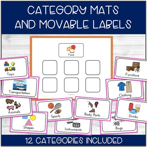 Categories Speech Therapy Activities - Category Sorting - Preschool Autism | Made By Teachers