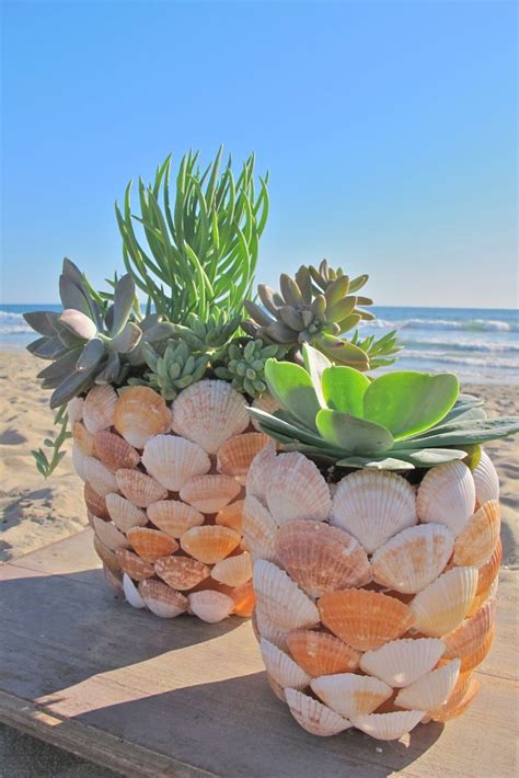 Put Your Beach Treasures On Display – Beautiful DIY Seashell Crafts ...