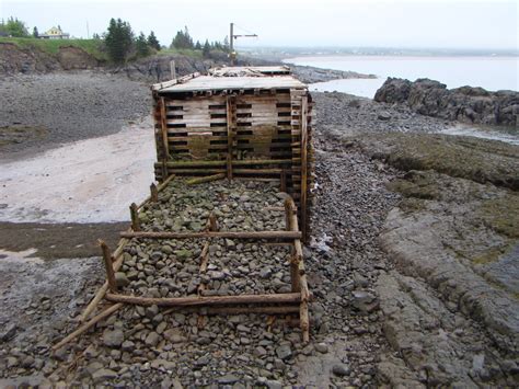 Scots Bay Nova Scotia Bay Of Fundy Area Digital Rockhounds Site