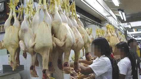 Piura Precio Del Pollo Se Acerca A Los 10 Soles El Kilo