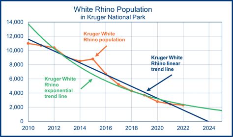 Rhino Conservation In Africa Wellbeing International