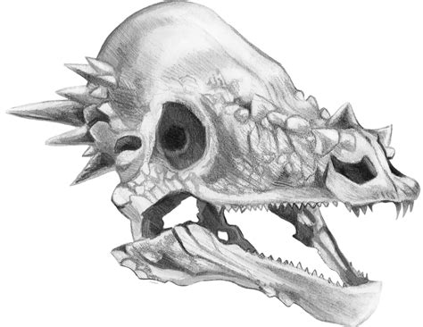 Pachycephalosaurus Skull By E Pona On Deviantart