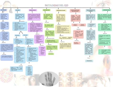 Patolog As Del Ojo Daua Udocz