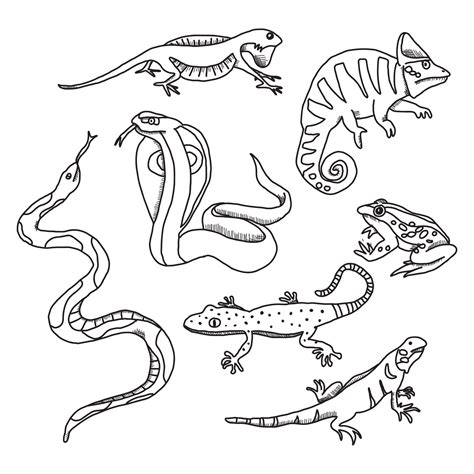 Reptiles Doodled Drawings 14043193 Vector Art at Vecteezy