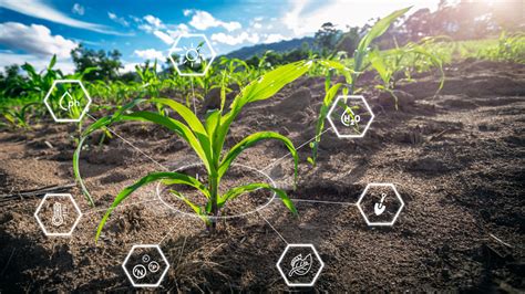 How Is Smart Farming Technology Empowering Sustainable Agriculture Symmetry Electronics