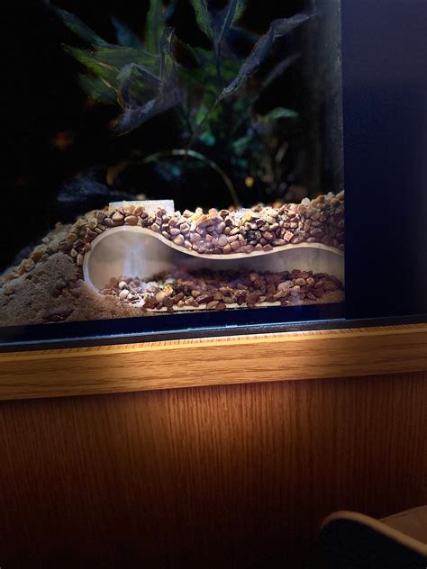 Breeding Habitat - Underground Aquarium Cave - Fish Hide - Etsy