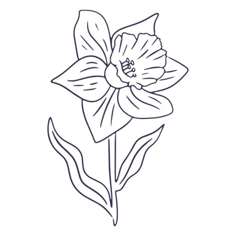 Daffodil PNG Designs For T Shirt Merch