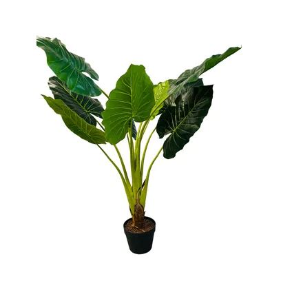 Art Colocasia Taro Plant HEM Palmier Artificiel Plante