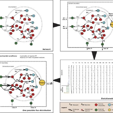 Data Sources For Metabolic Model Reconstruction And Refinement Download Table