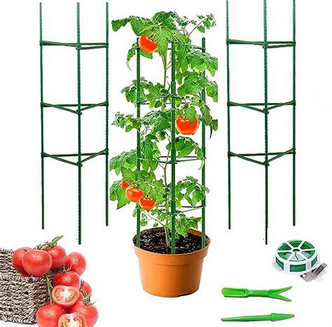 Rankhilfe Rankgitter für Tomaten Gurken Garten 4ft Pflanzenhalter