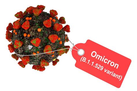 Evolution Of The SARS CoV 2 Omicron Variant PSEOEC