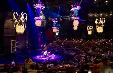 What is it like to expereince the Cirque Du Soleil Joya show?