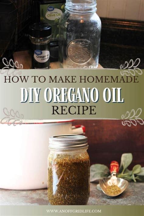 How To Make Homemade Diy Oregano Oil Recipe