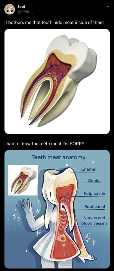 Thanks I Hate Teeth Meat Rwowiactuallyhatethis