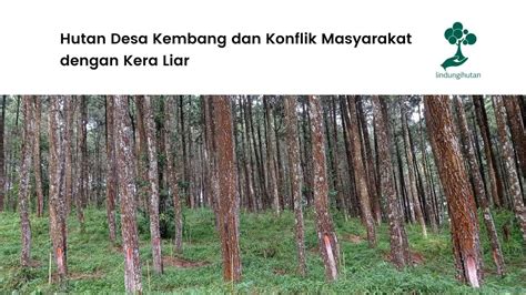 Menjaga Kelestarian Hutan Desa Kembang Wonogiri Segenap Dengan Makhluk