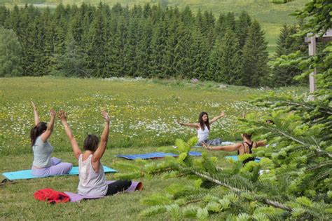 Germogli Il Risveglio Del Giardino Il Trentino Alto Adige Delle