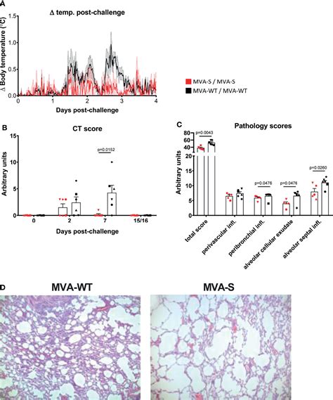 Frontiers Poxvirus MVA Expressing SARS CoV 2 S Protein Induces Robust