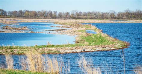 This Underrated Michigan Wildlife Area Is A Hidden Gem Thats Begging