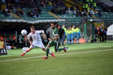 Avellino Calcio Ngawa Lultimo A Cadere Piena Emergenza In Difesa