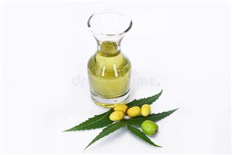 Indian Ayurvedic Neem Oil Indian Ayurvedic Stock Photo Image Of