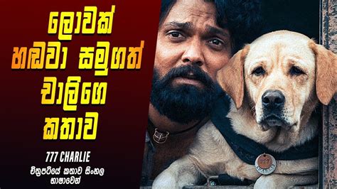 Charlie Movie Explained In Sinhala