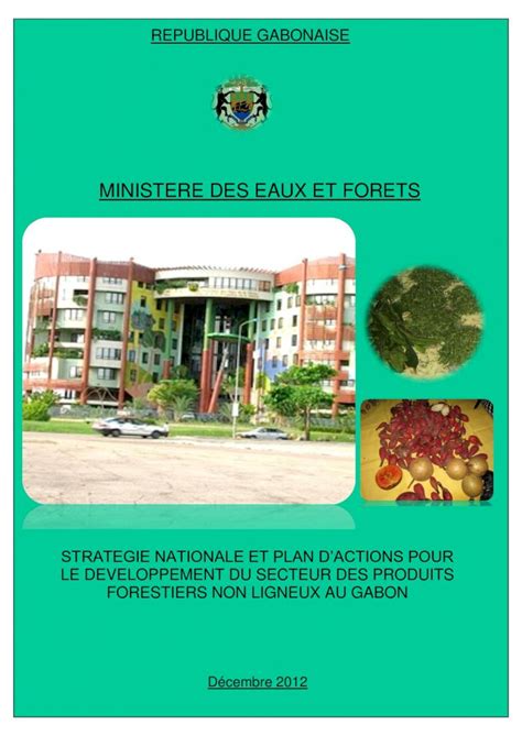 PDF MINISTERE DES EAUX ET FORETS Brainforest Gabon La troisième