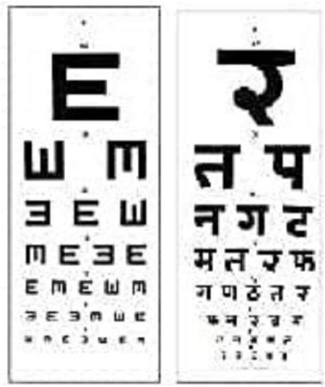 Eyevision English And Hindi Eye Test Chart Vision Test Chart Price In