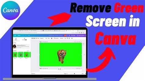 How To Remove Green Screen In Canva Quick Easy Youtube