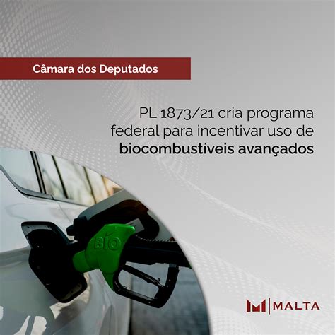 Pl Cria Programa Federal Para Incentivar Uso De Biocombust Veis