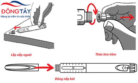 Cách Sử Dụng Bút Tiêm Insulin An Toàn đạt Hiệu Quả Cao Chia Sẻ Kiến